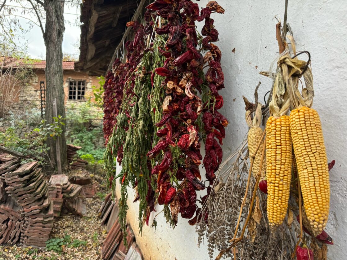 Poljoprivreda na selu, foto: Agro Savet