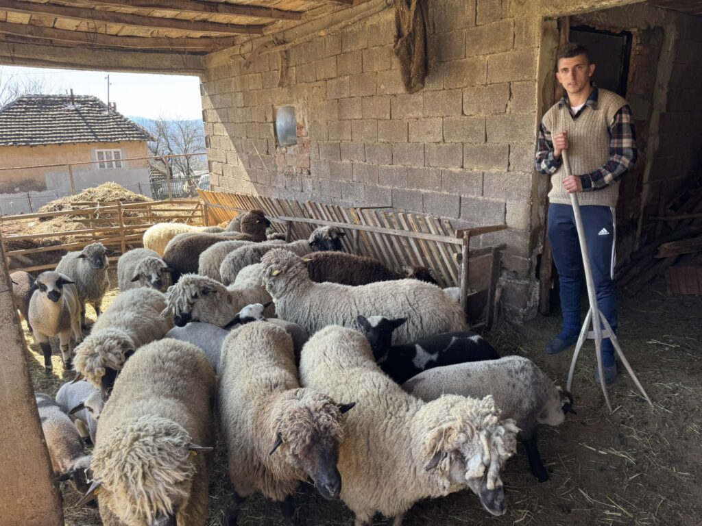 Foto: Agro Savet